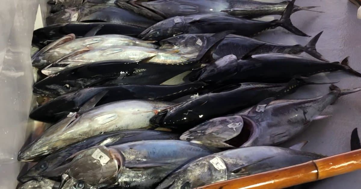 Why the Boat With the Most Fish Isn't the One You Should Book