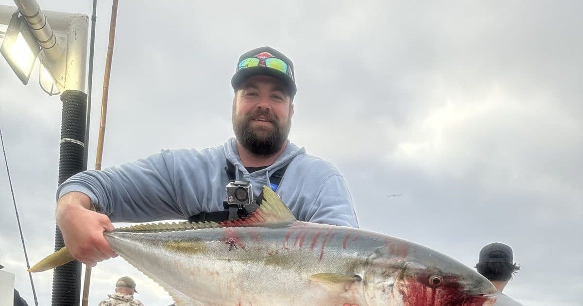 Yellowtail on the Horizon: What a 2.5-Day Trip Taught Me About SoCal's Most Reliable Gamefish