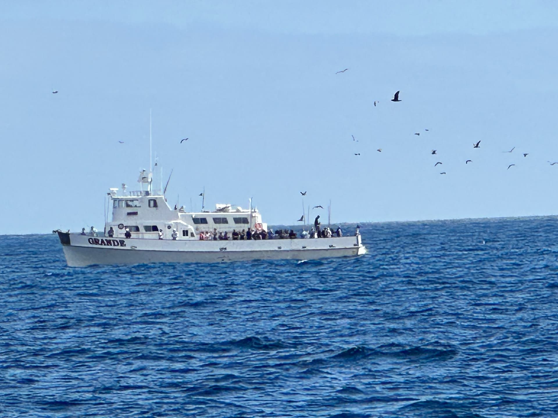SoCal Sportfishing Forecast: June 2026