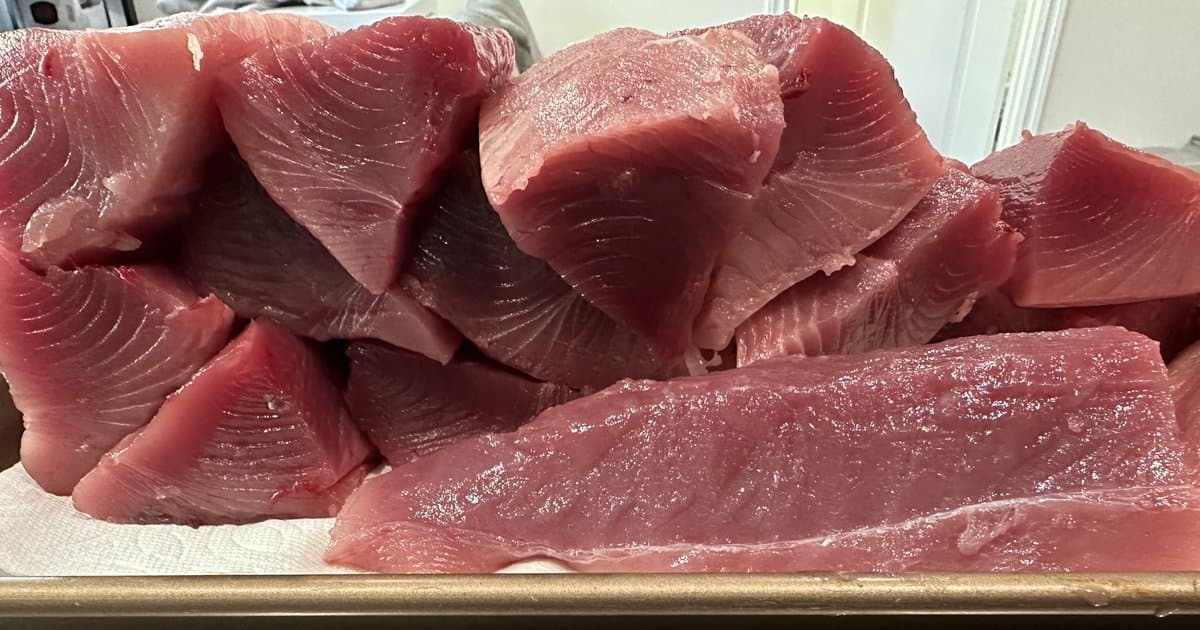 SoCal Sportfishing Forecast: July 2026