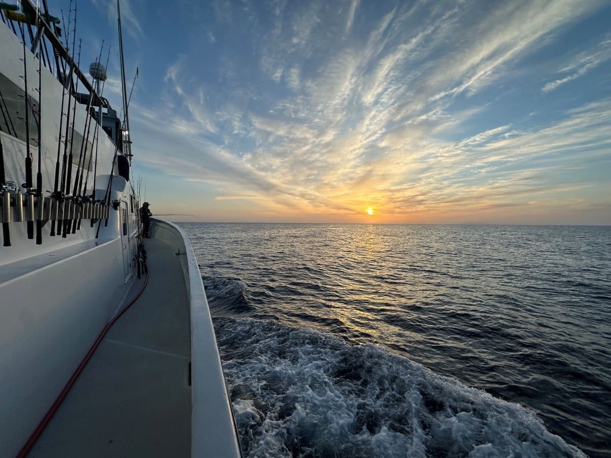 Why We Fish: The Ancient Pull That Still Drives Us to the Water