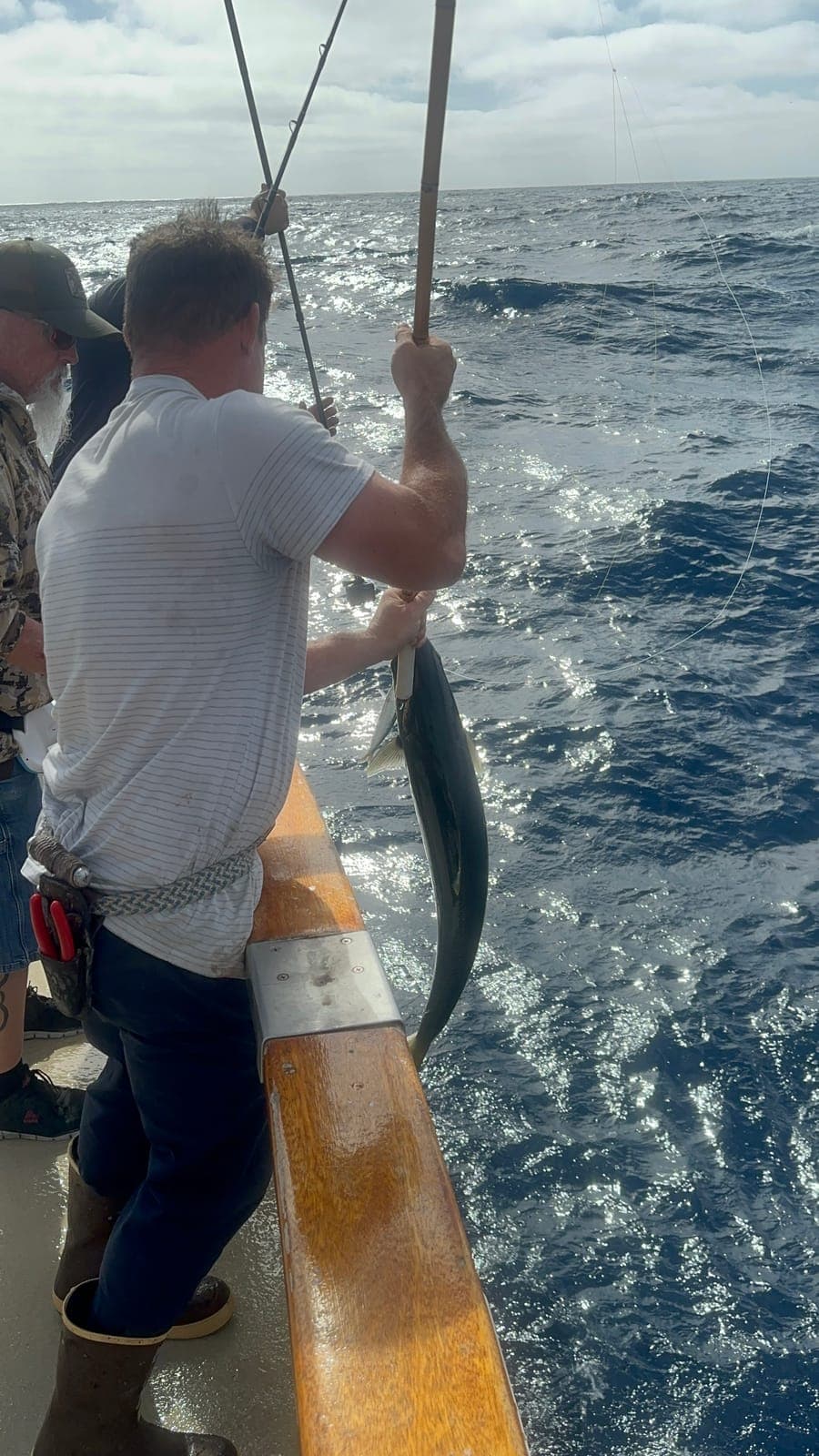 How to Catch Yellowtail in Southern California: The Three Techniques That Matter