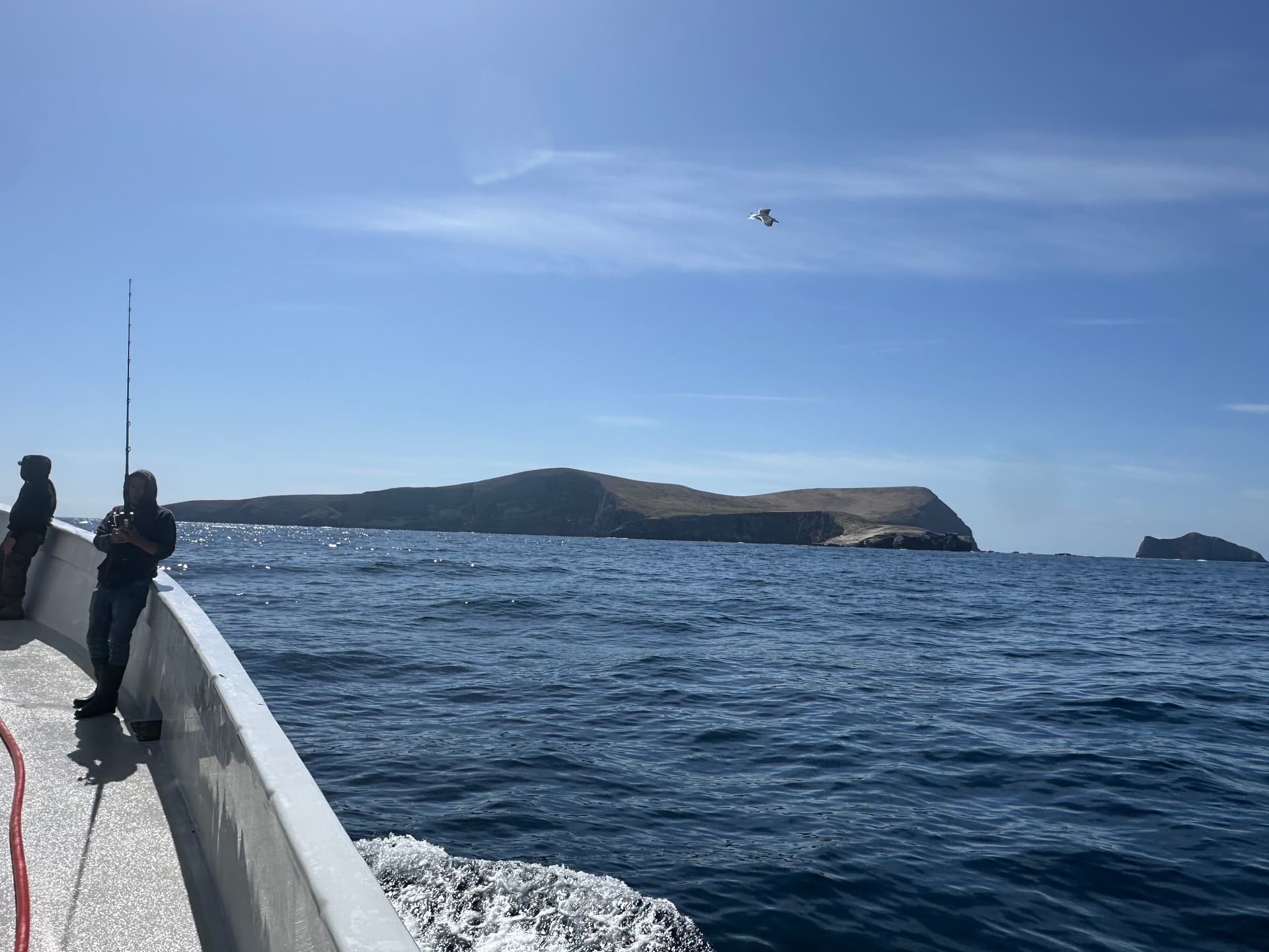 Half Day vs Full Day vs Overnight: Which SoCal Sportfishing Trip is Right for You?