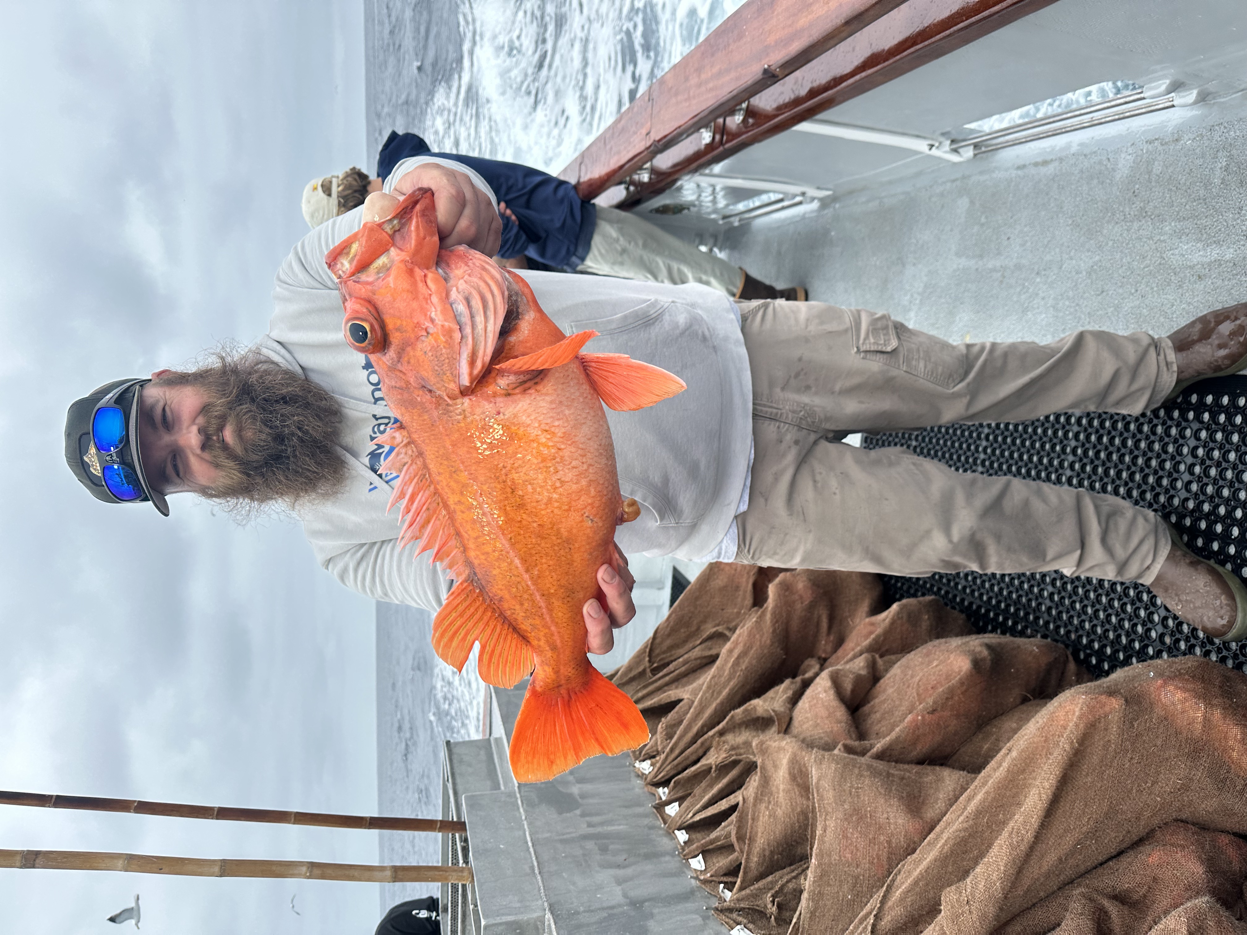 Big vermilion rockfish caught on a SoCal open-party charter