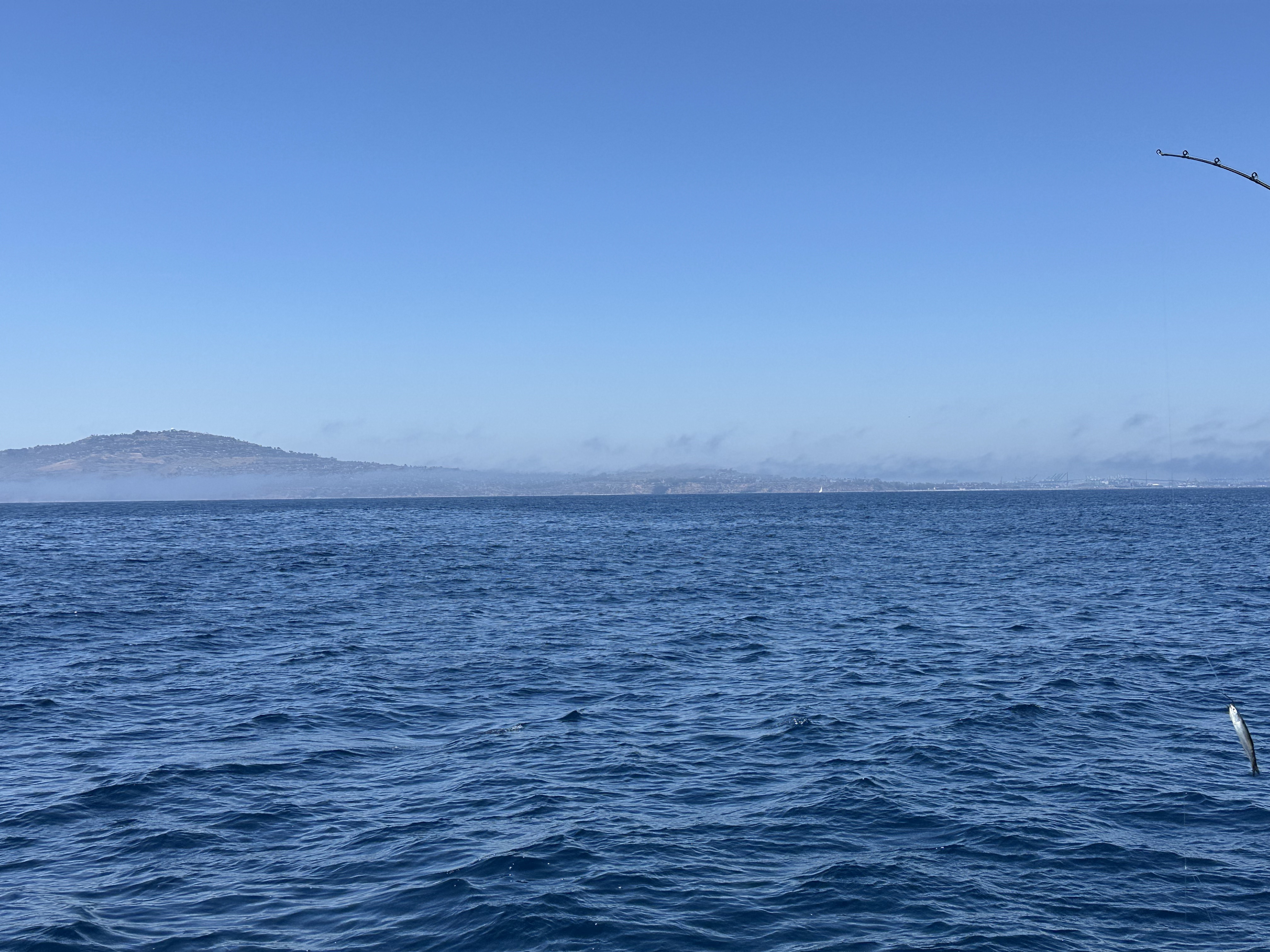 Deep blue summer water off SoCal with a sardine on a flylined hook and the mainland visible in the distance through the marine layer