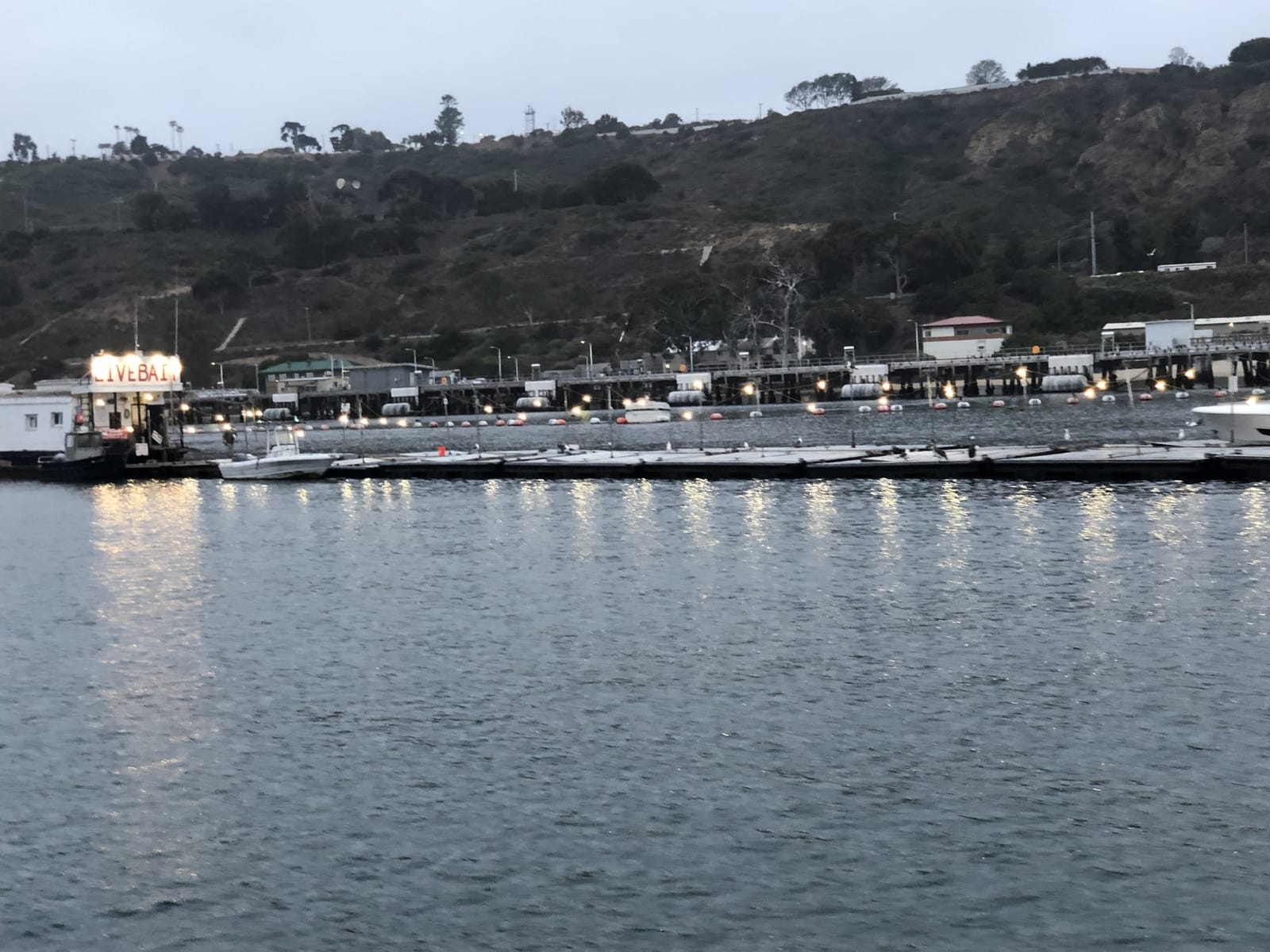 A San Diego landing's live bait receiver lit up at dawn before an offshore bluefin trip