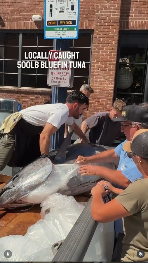 The fish being carried in to Herb & Wood
