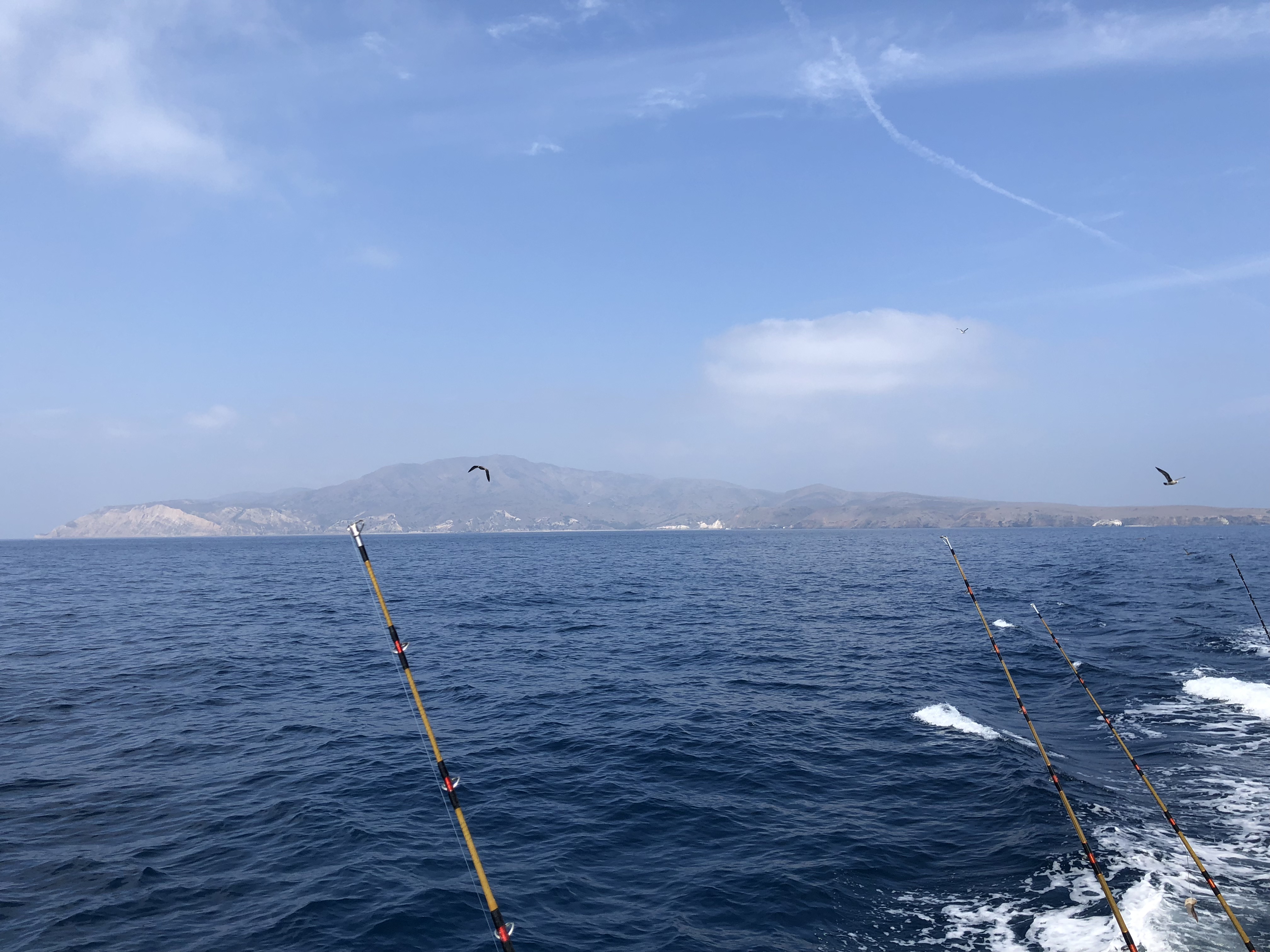 Sportfishing boat underway with multiple rods deployed at the stern and a Channel Island visible in the distance