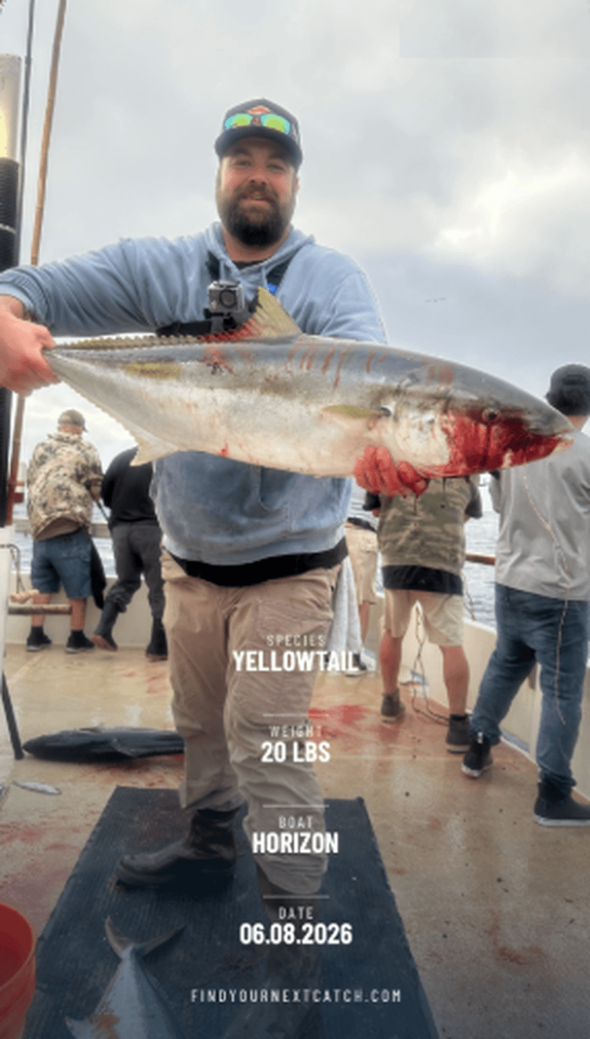 A FYNC Catch Card showing a yellowtail caught aboard the Horizon on June 8, 2026