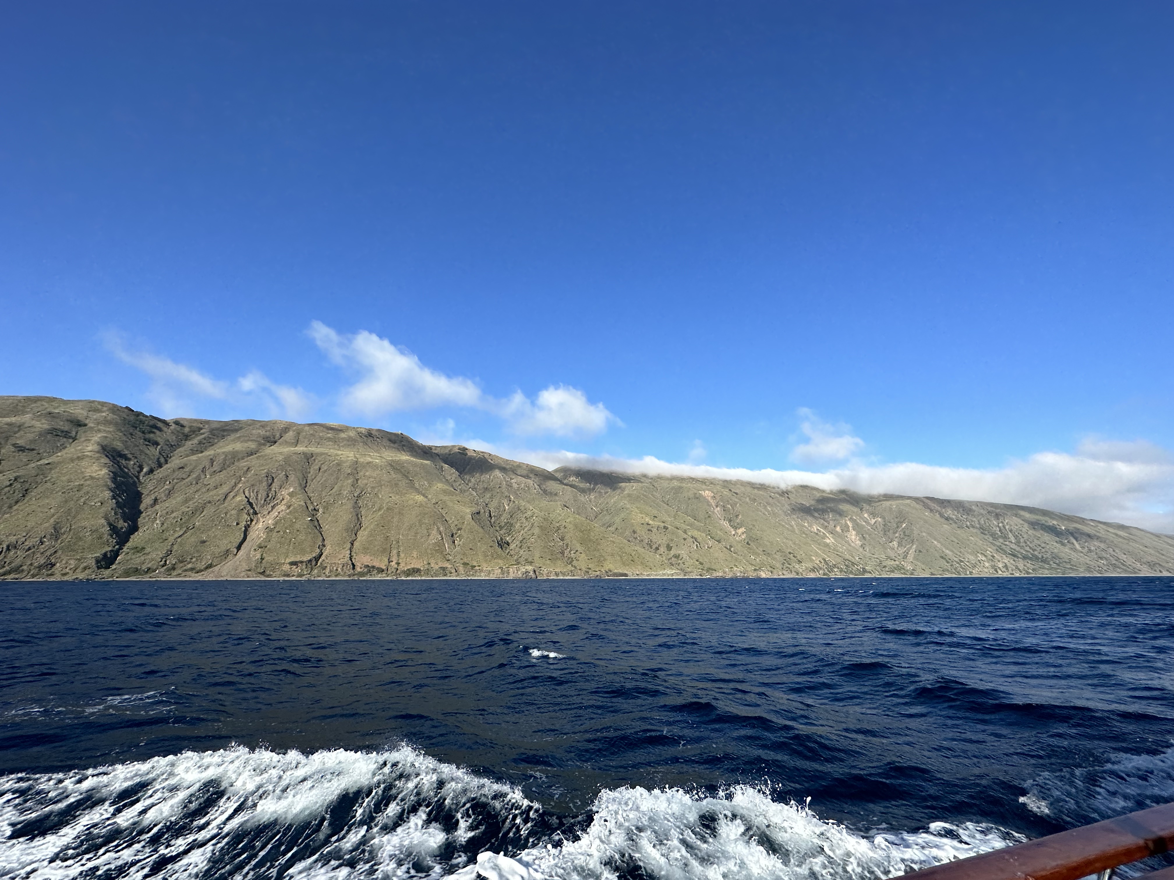 The rugged green back side of a Channel Island rising out of deep blue water under a clear June sky, with the boat's wake trailing in the foreground
