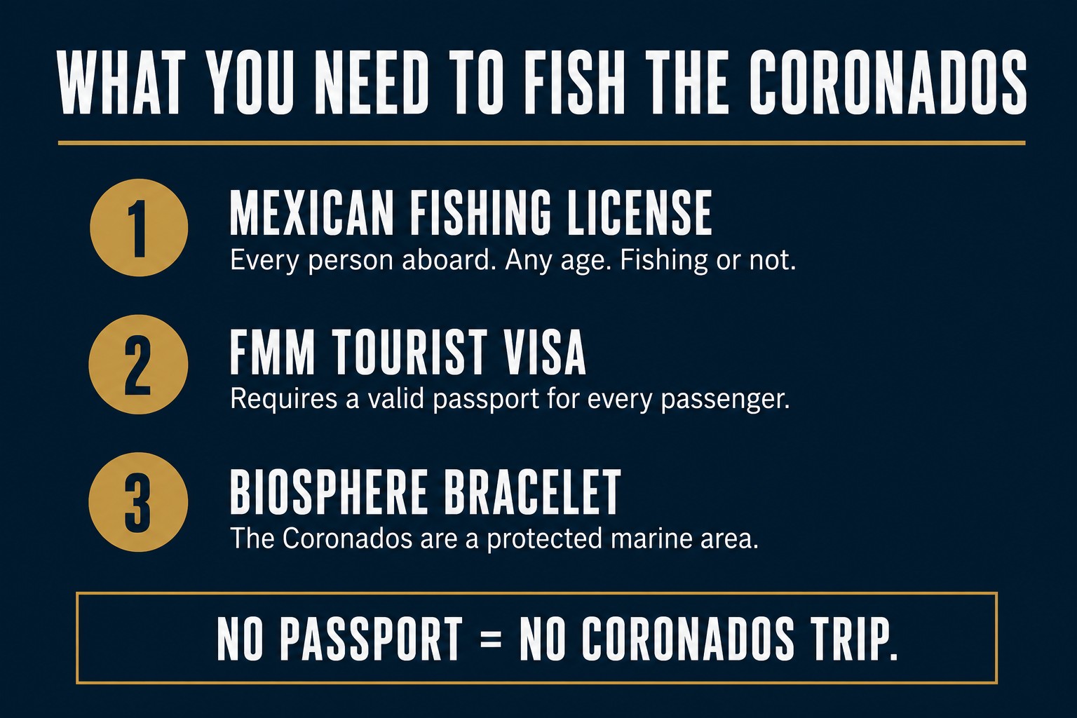 The three permits required to fish the Coronado Islands: Mexican fishing license, FMM tourist visa, and biosphere bracelet