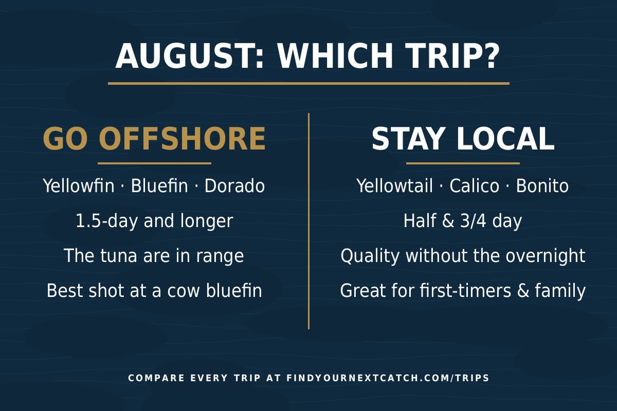 August trip guide: go offshore for yellowfin, bluefin, and dorado, or stay local for yellowtail, calico, and bonito