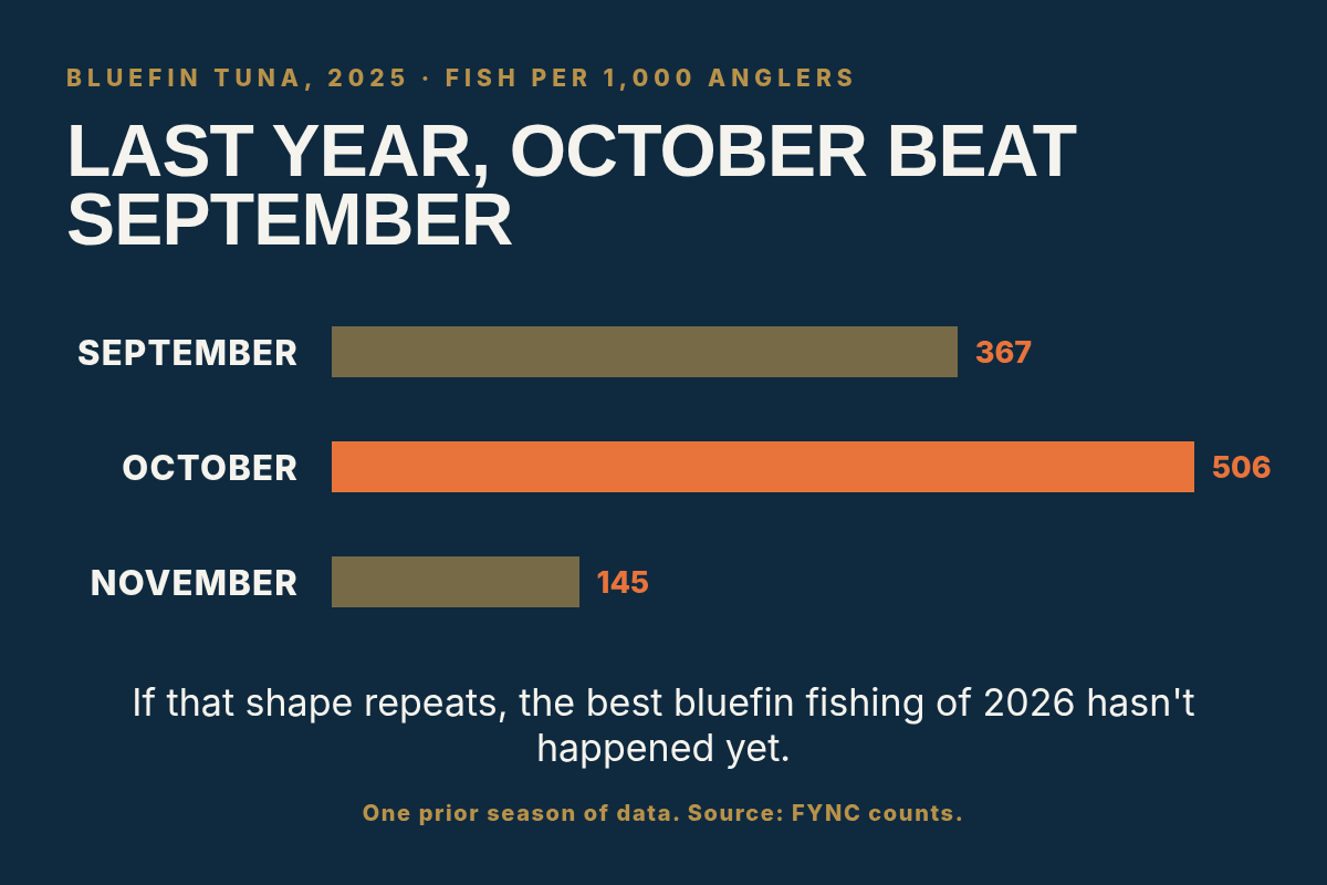 Bluefin catch rate by month, fall 2025