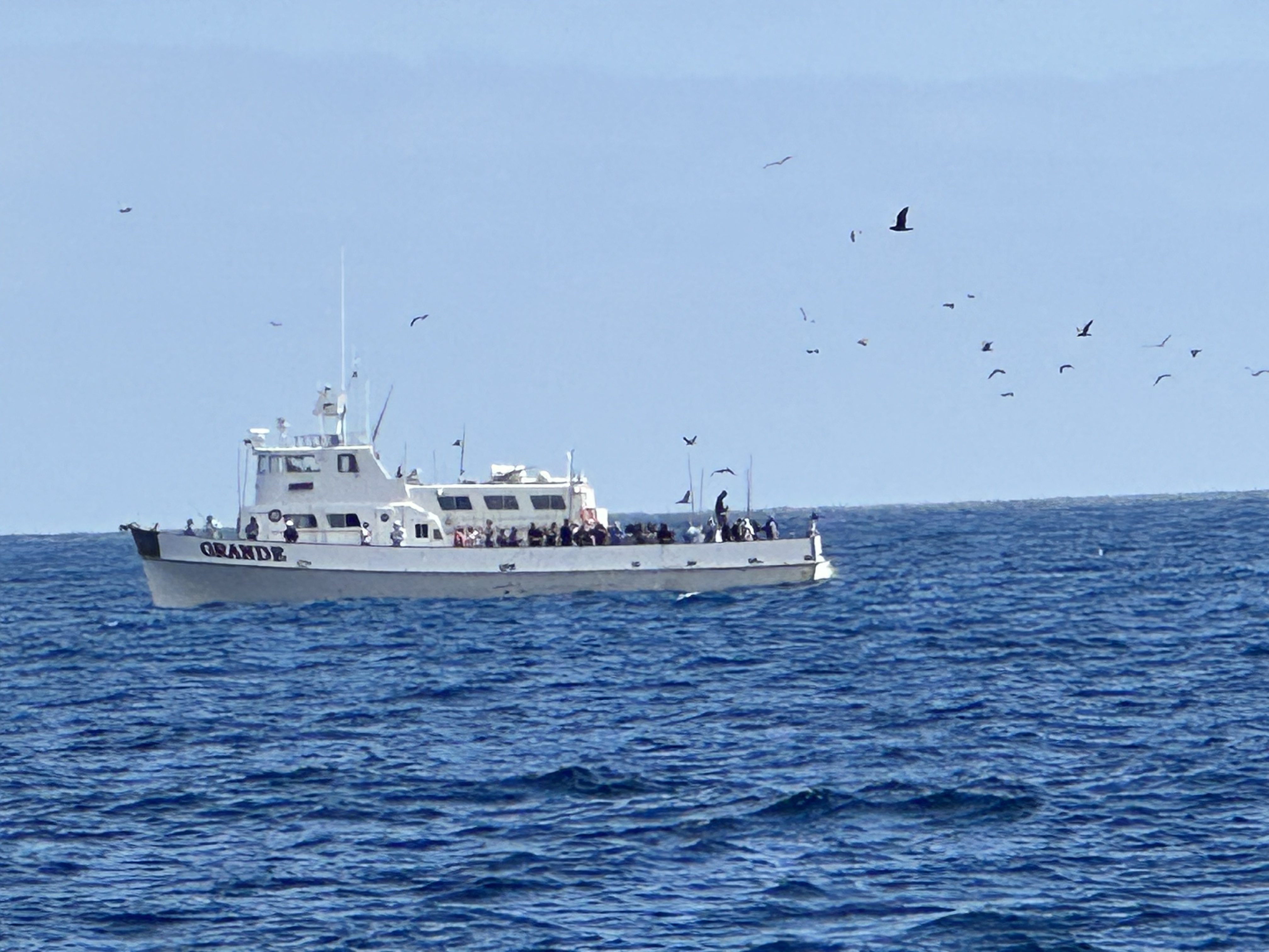 A SoCal sportfishing boat named Grande with anglers working the rail, birds circling overhead in classic bait-and-fish activity