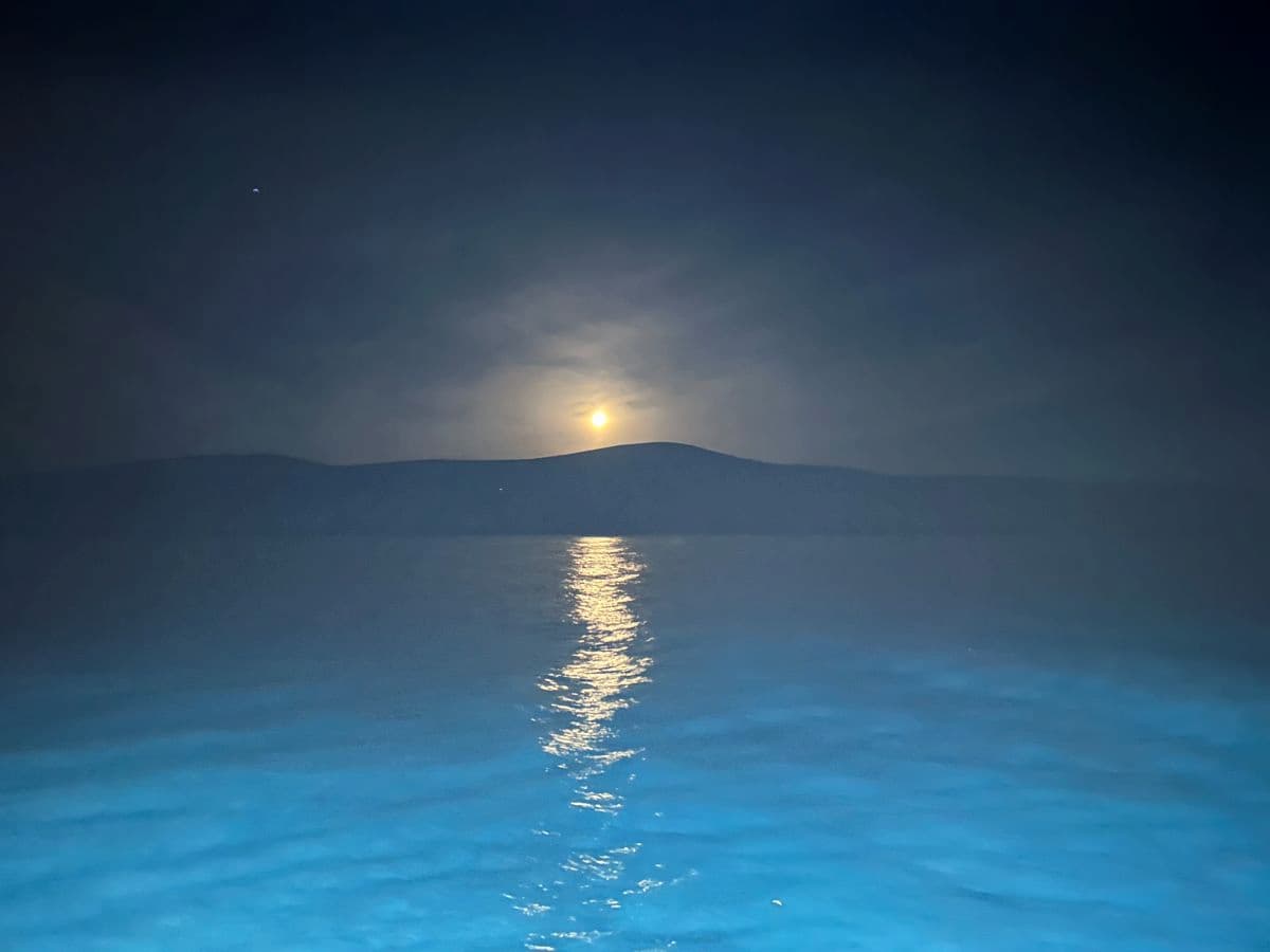 Moonlight over a calm sea, viewed from the rail of a charter boat heading out before dawn