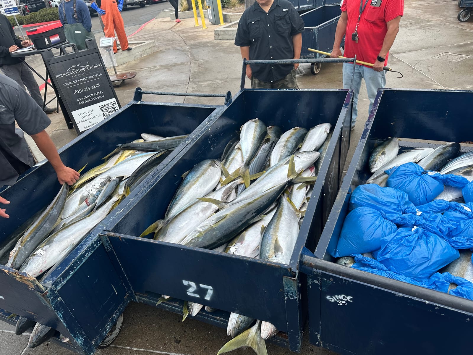 The day's yellowtail catch loaded into carts at Fisherman's Processing in San Diego after the Horizon's 2.5-day trip